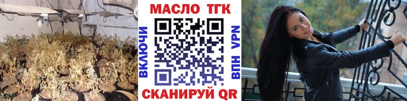 Купить где  Заводоуковск  ТГК Wax 